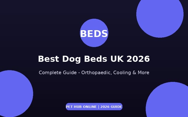 Best Dog Beds UK 2026