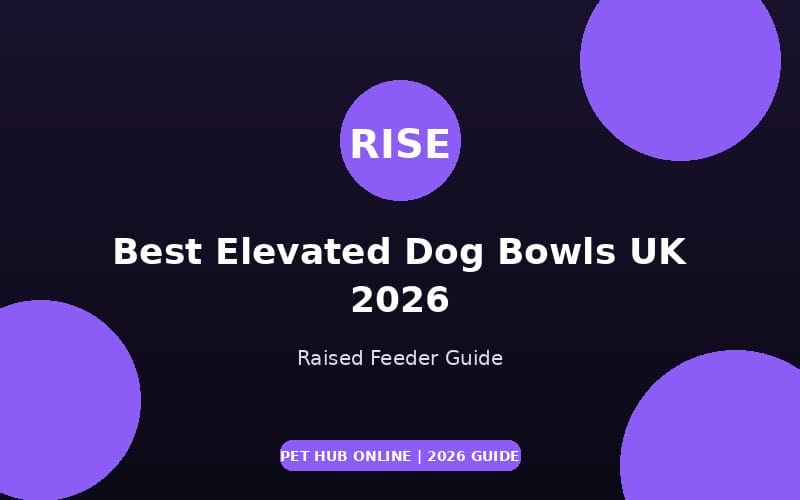 Best Elevated Dog Bowls UK 2026