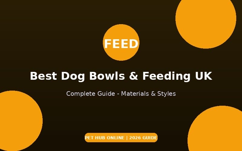 Best Dog Bowls & Feeding UK