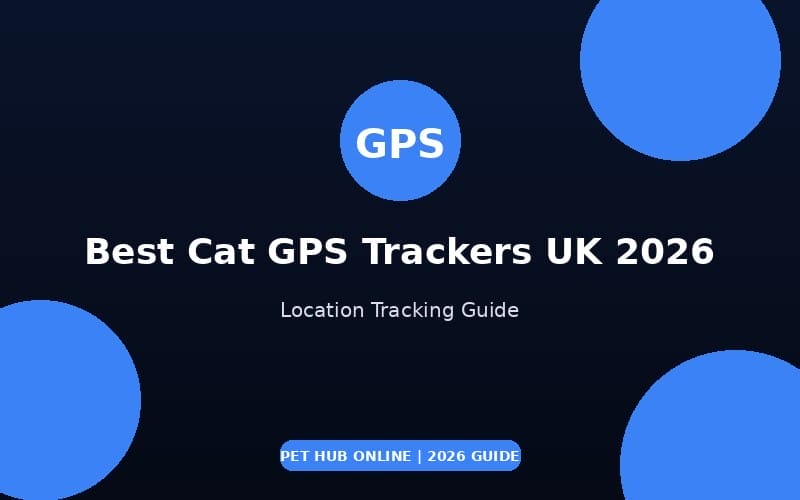 Best Cat GPS Trackers UK 2026