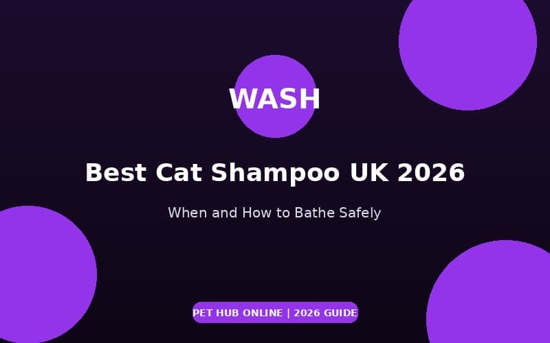 Best Cat Shampoo UK 2026