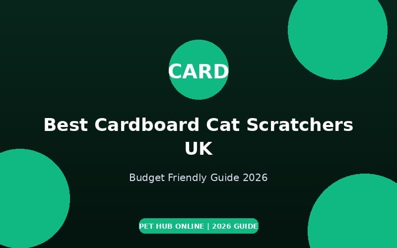 Best Cardboard Cat Scratchers UK