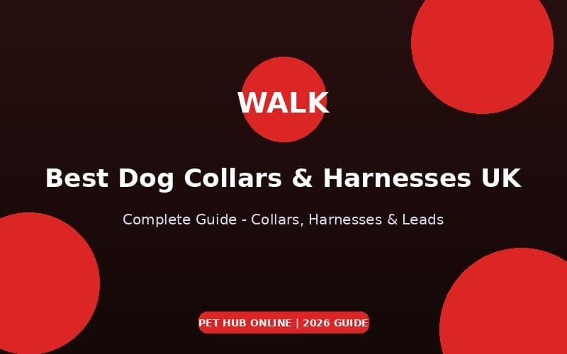 Best Dog Collars & Harnesses UK