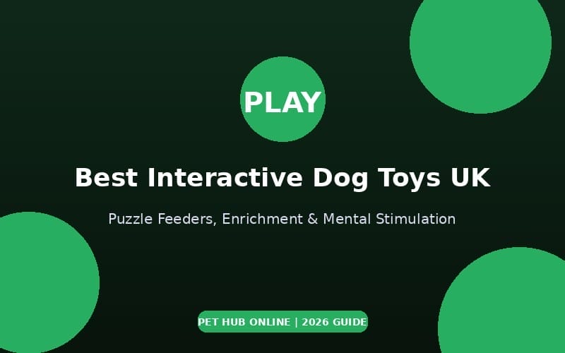 Best Interactive Dog Toys UK - Puzzle and Enrichment Guide